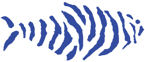 Tigerfish RLHF Services